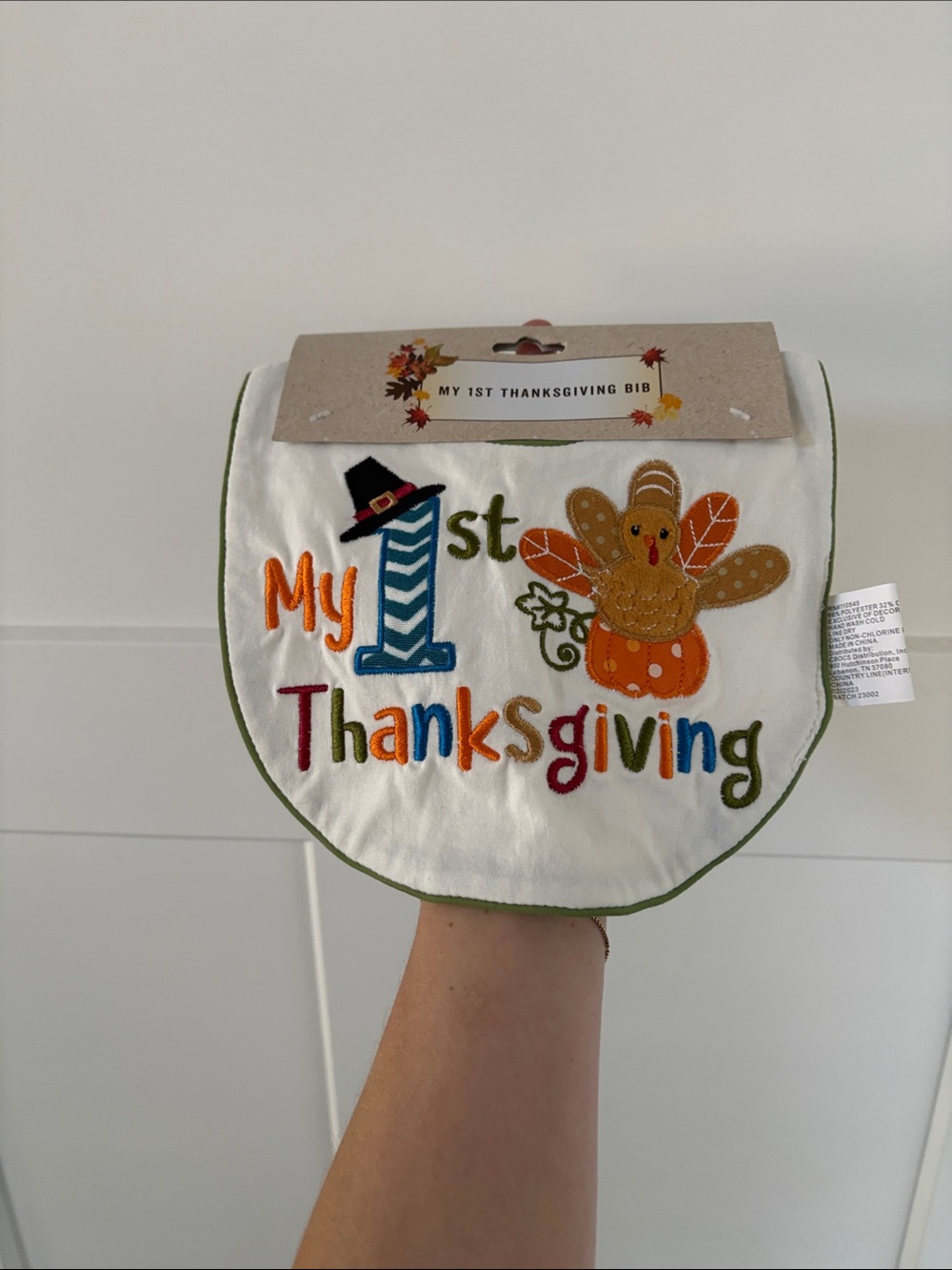 My 1st Thanksgiving Bib - Colorful Turkey Design Brand New